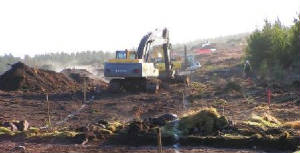 Corridor Survey and Monitoring 2006